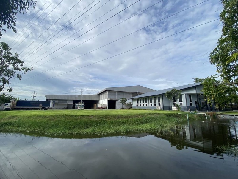 โรงงานผลิตพาเลทไม้